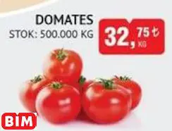 DOMATES DOMATES